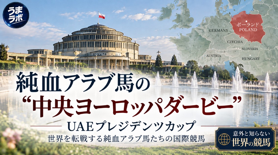 純血アラブ馬の祭典「中央ヨーロッパ・アラビアンダービー」 ポーランドで11頭が激突
